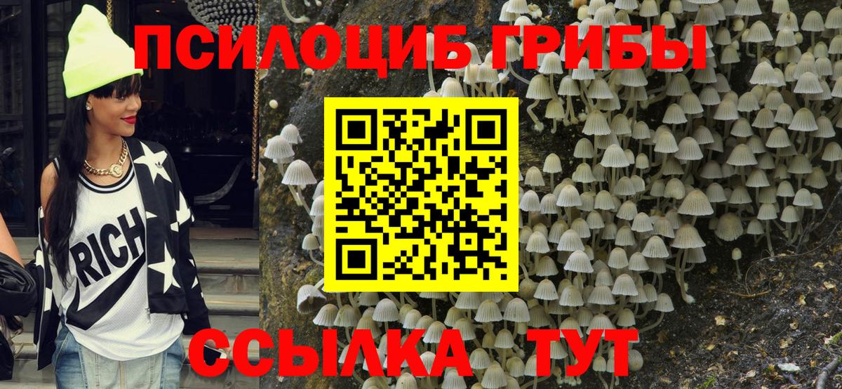 Псилоцибиновые грибы MAGIC MUSHROOMS  Вход с VPN  Щёлково 