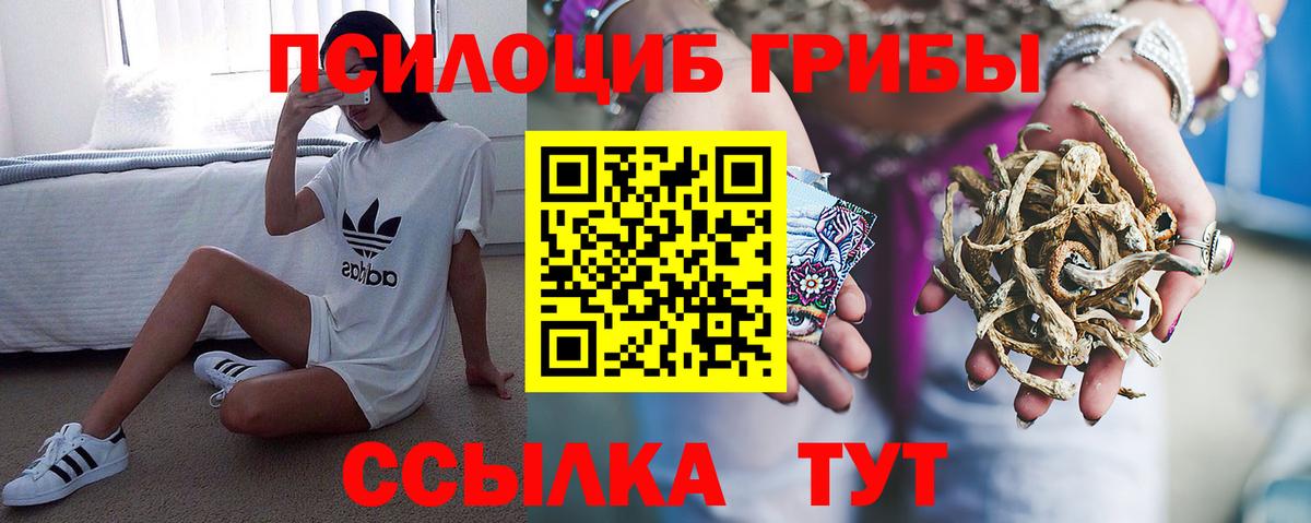 Псилоцибиновые грибы Psilocybe Щёлково